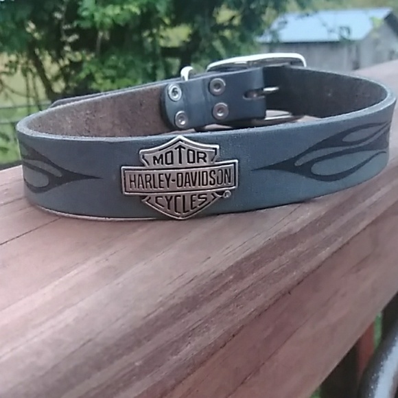 harley davidson spiked dog collar